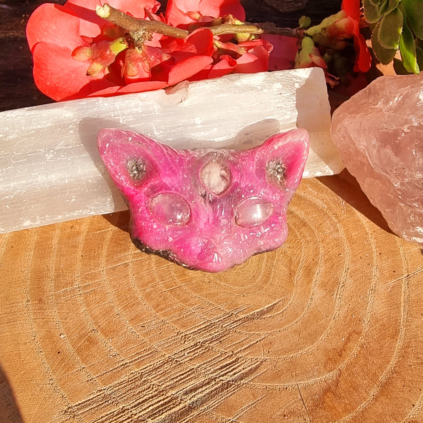 Gato Egipcio Crecimiento Espiritual