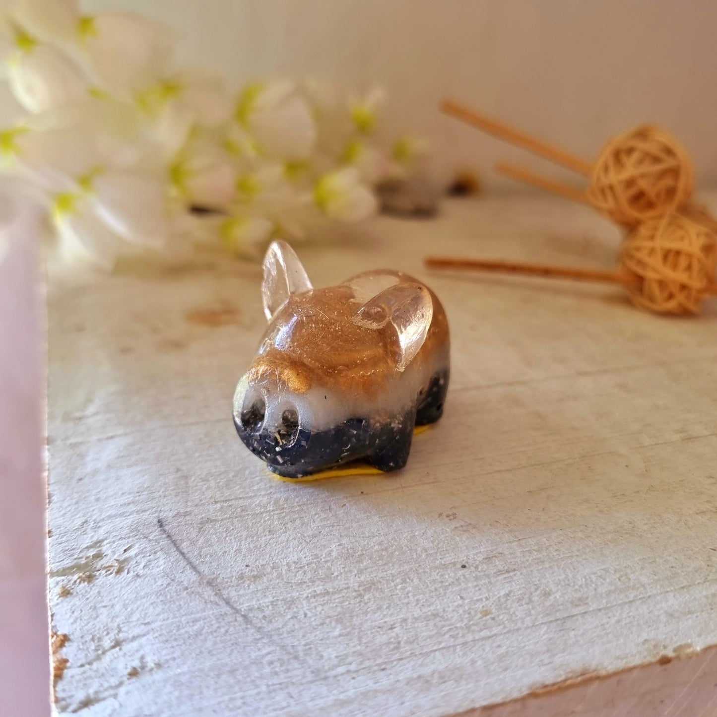 Chancho Crecimiento espiritual