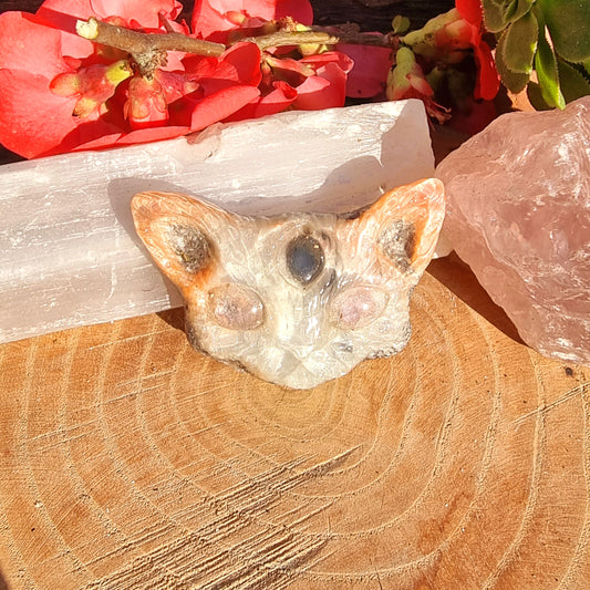 Gato Egipcio Crecimiento Espiritual