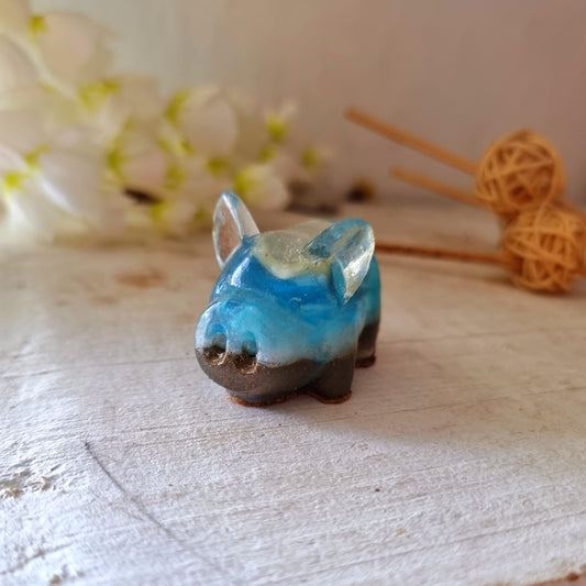 Chancho Crecimiento Espiritual