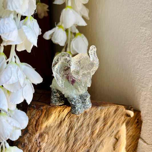 Elefante Crecimiento espiritual